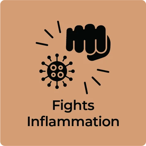 Product Specification Image