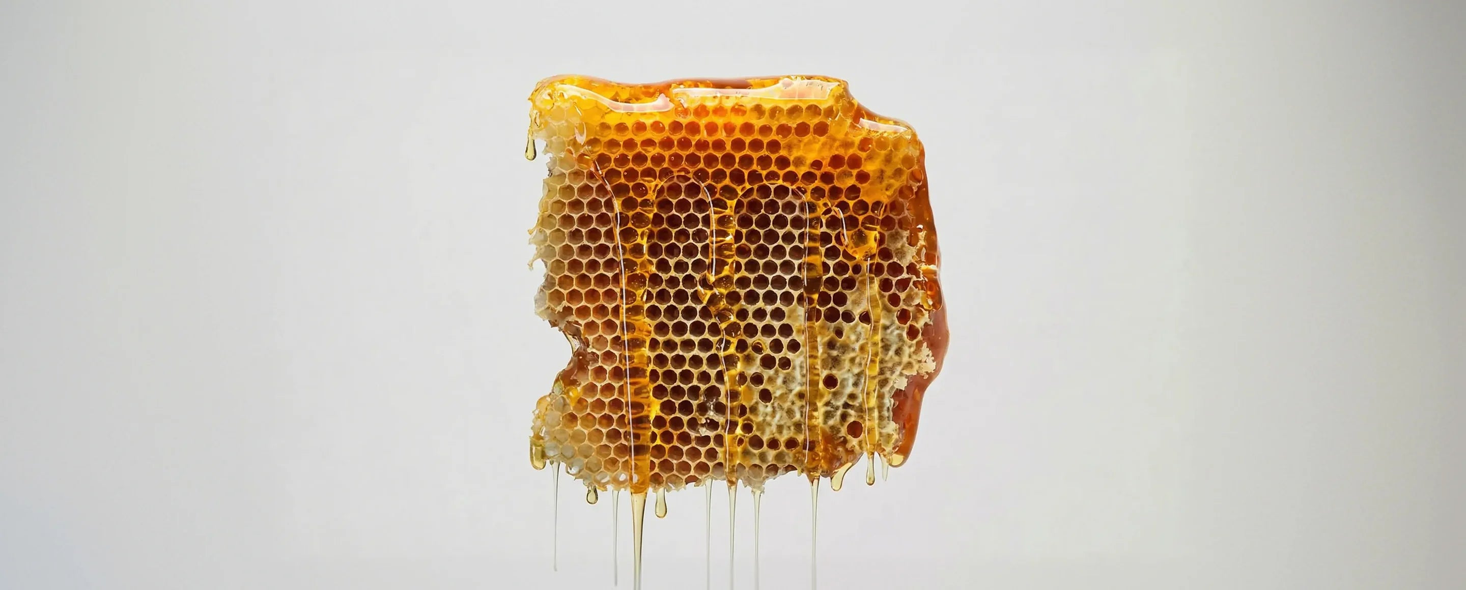 Not Sure Which Honey Is Right for You?
