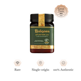 Raw Ulmo Rainforest Honey (Apf 200+) 500G
